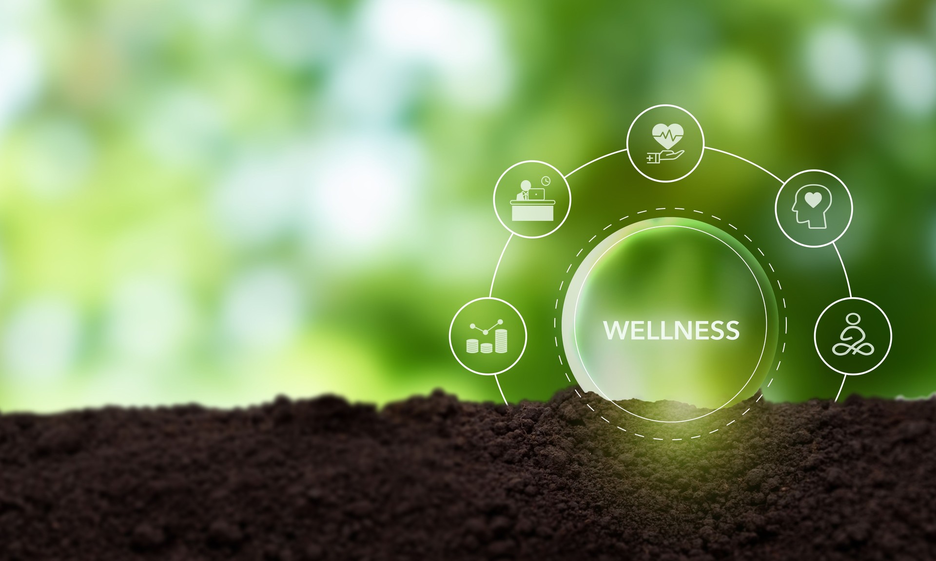 Wellness concept. Health, mindfulness, mental health, happiness, financial stability and growth icons on green natural background. Balance and integration in achieving overall wellbeing